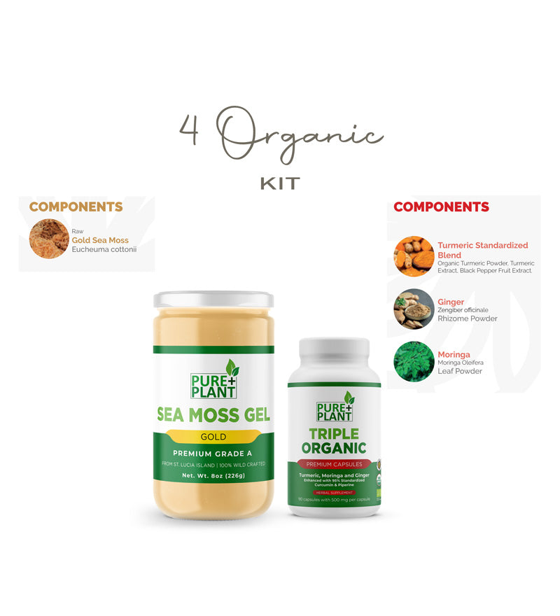 4 Organic Kit - Sea Moss Gel Pure Gold & Turmeric, Moringa, Ginger - Pure Plant Plus