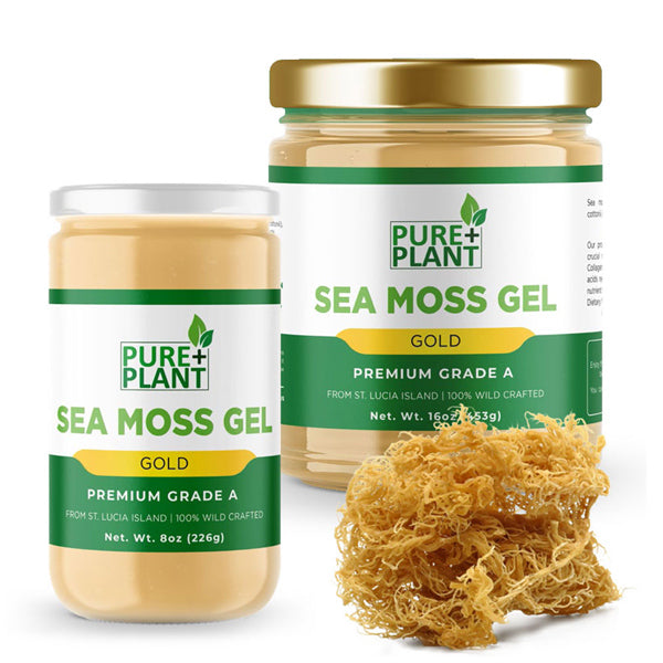 4in2 Wellness Kit -Sea Moss Gel Pure Gold and Organic Triple Capsules - Turmeric, Moringa, and Ginger Blend-Pure Plant Plus