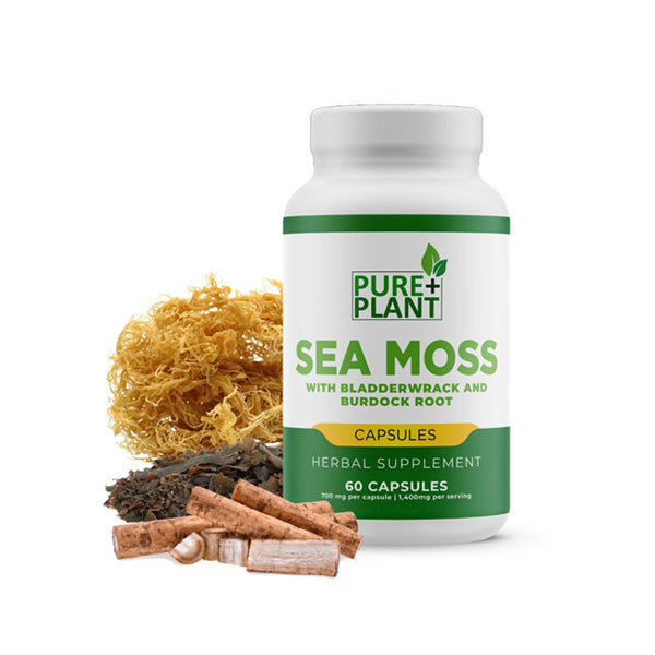 Digestive Health-Berberine, Ginger, and Sea Moss - Pure Plant Plus