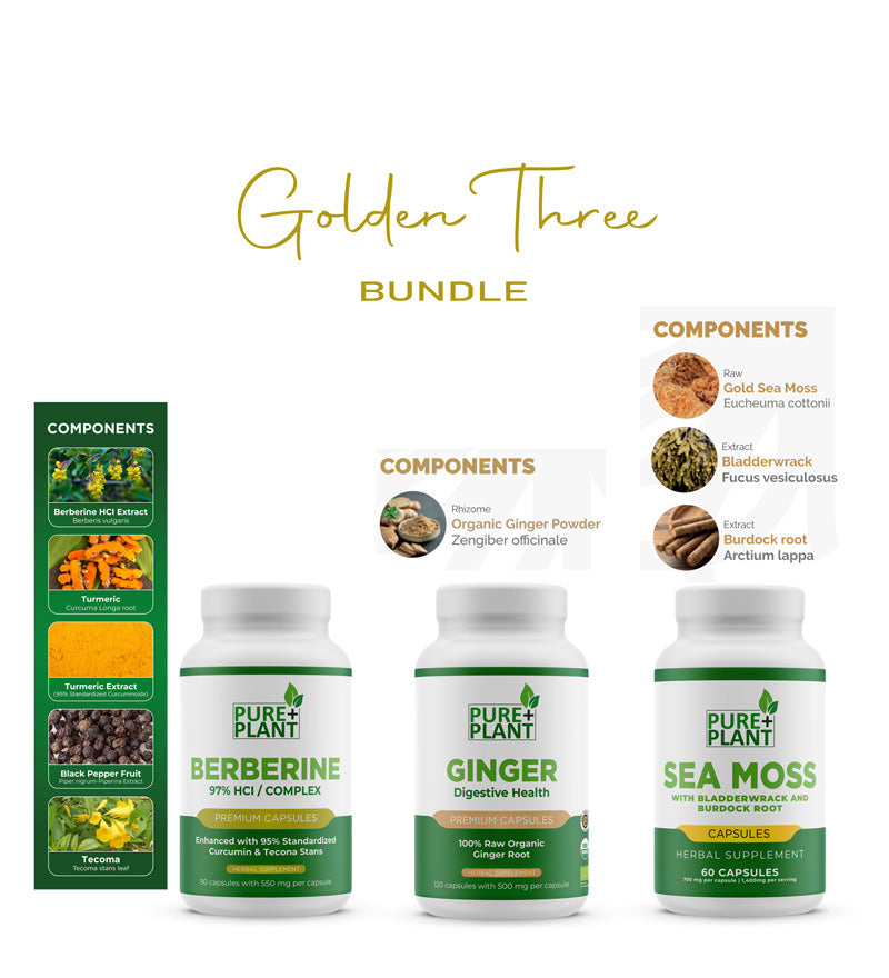 Golden Three bundle-Berberine + Ginger + Sea Moss -Pure Plant Plus