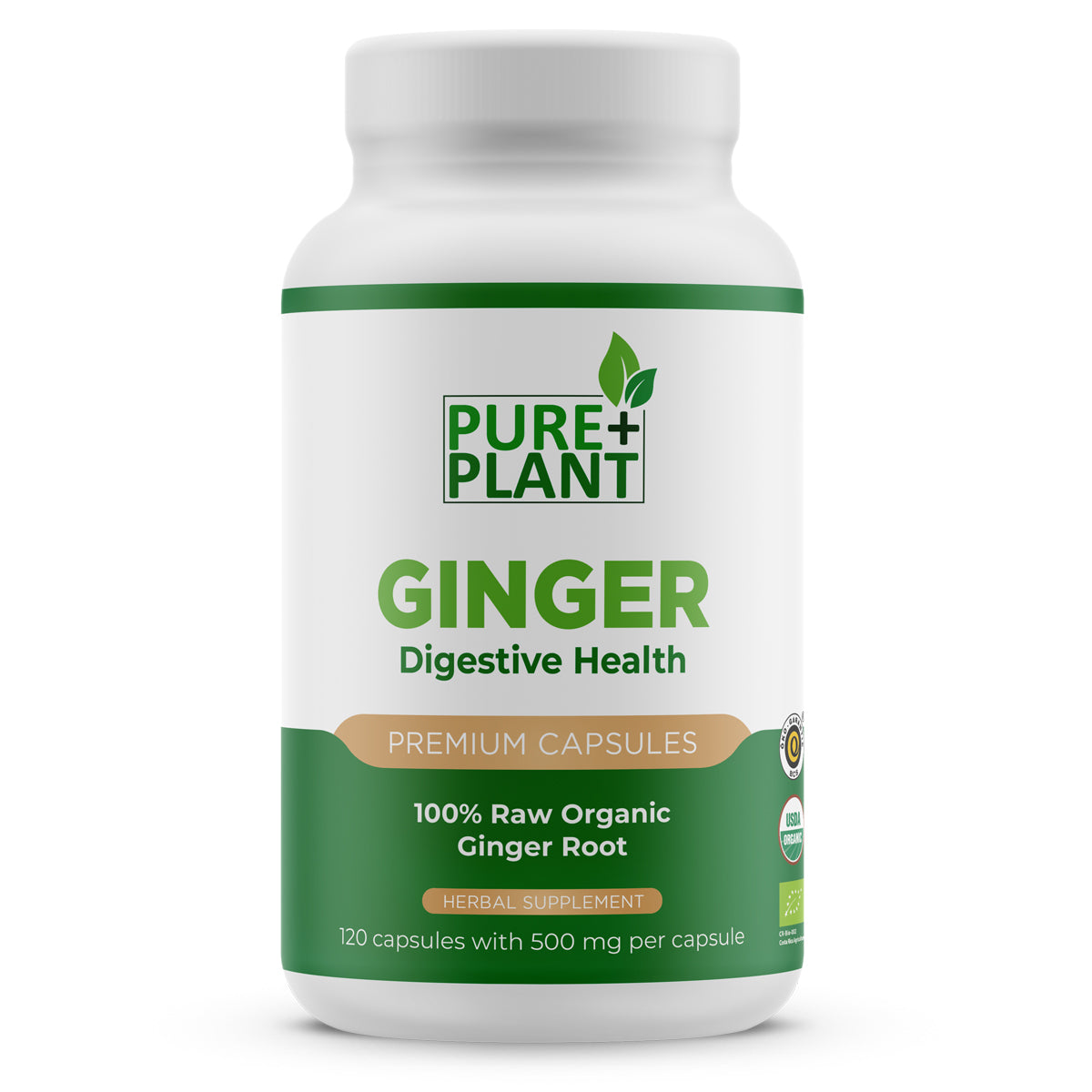 Ginger Capsules 120x500mg