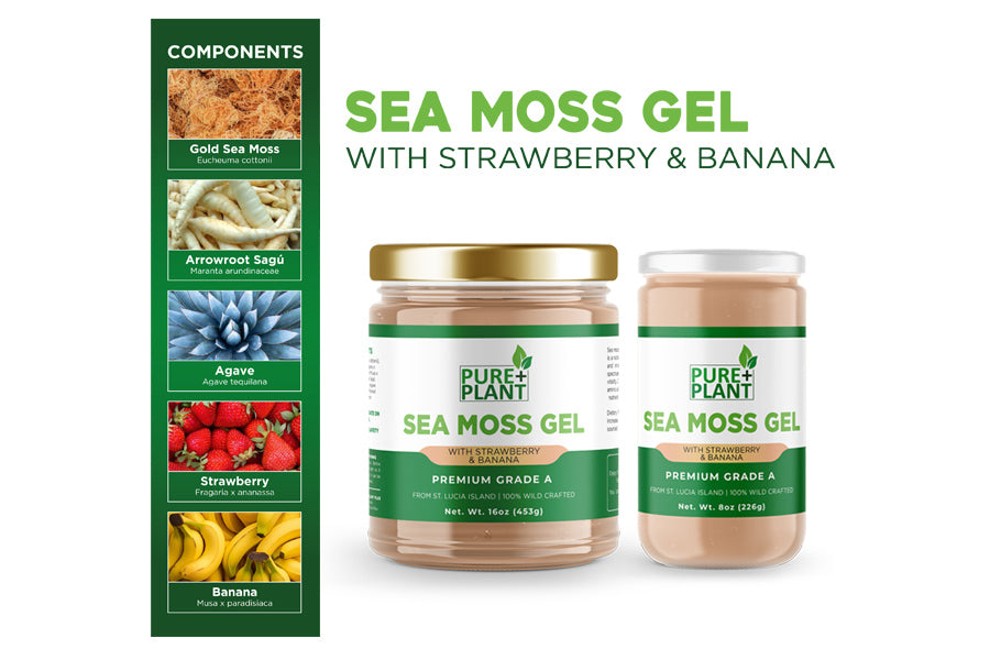Sea Moss with Strawberry Banana - Pure Plant Plus