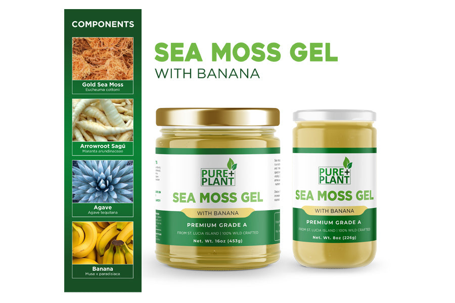 Sea Moss gel with Banana-Pure Plant Plus