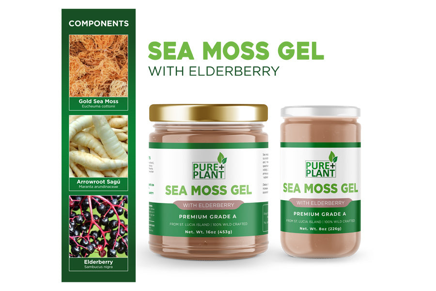 Sea Moss Gel with Elderberry-Pure Plant Plus