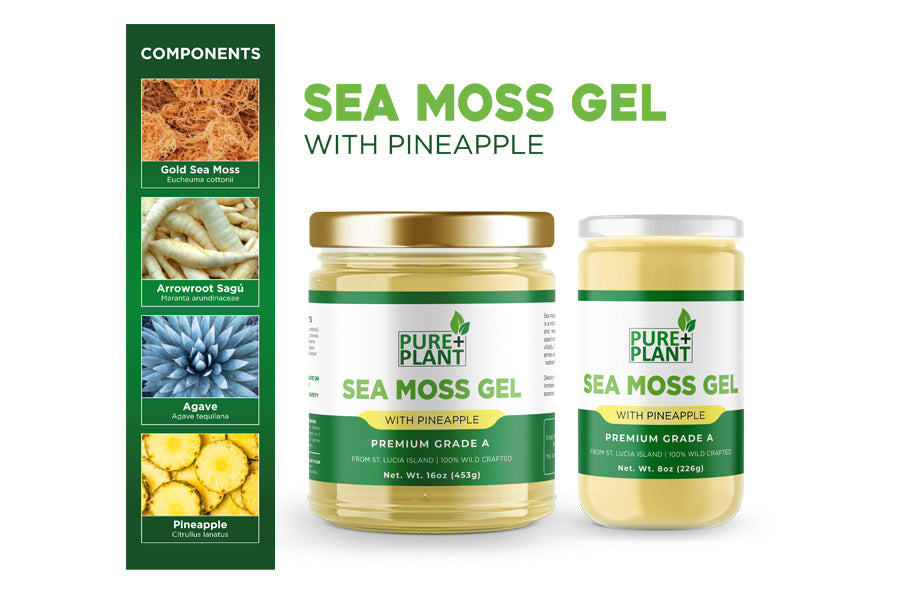 Sea Moss gel with Pineapple-Pure Plant Plus