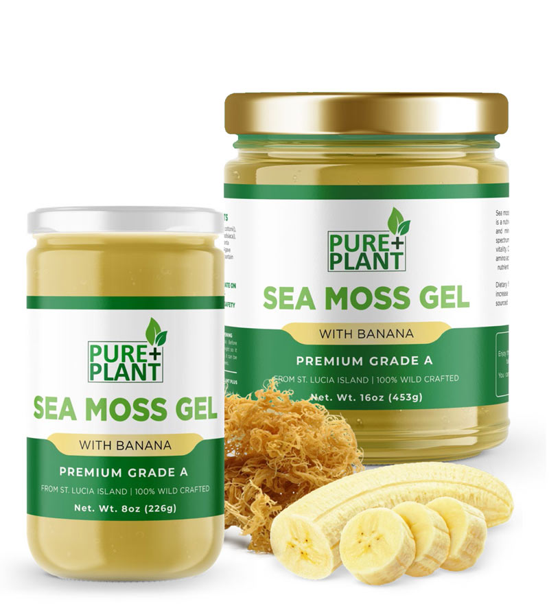 Sea Moss gel with Banana-Pure Plant Plus