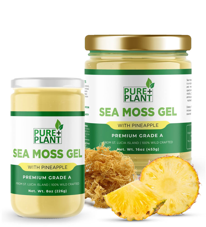 Sea Moss Gel with Pineapple - Pure Plant Plus