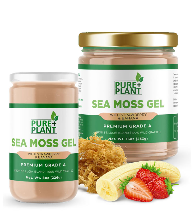 Sea Moss Gel with Strawberry and Banana - Pure Plant Plus