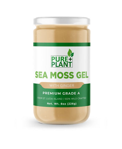 Sea Moss Gel with Ginger - Pure Plant Plus