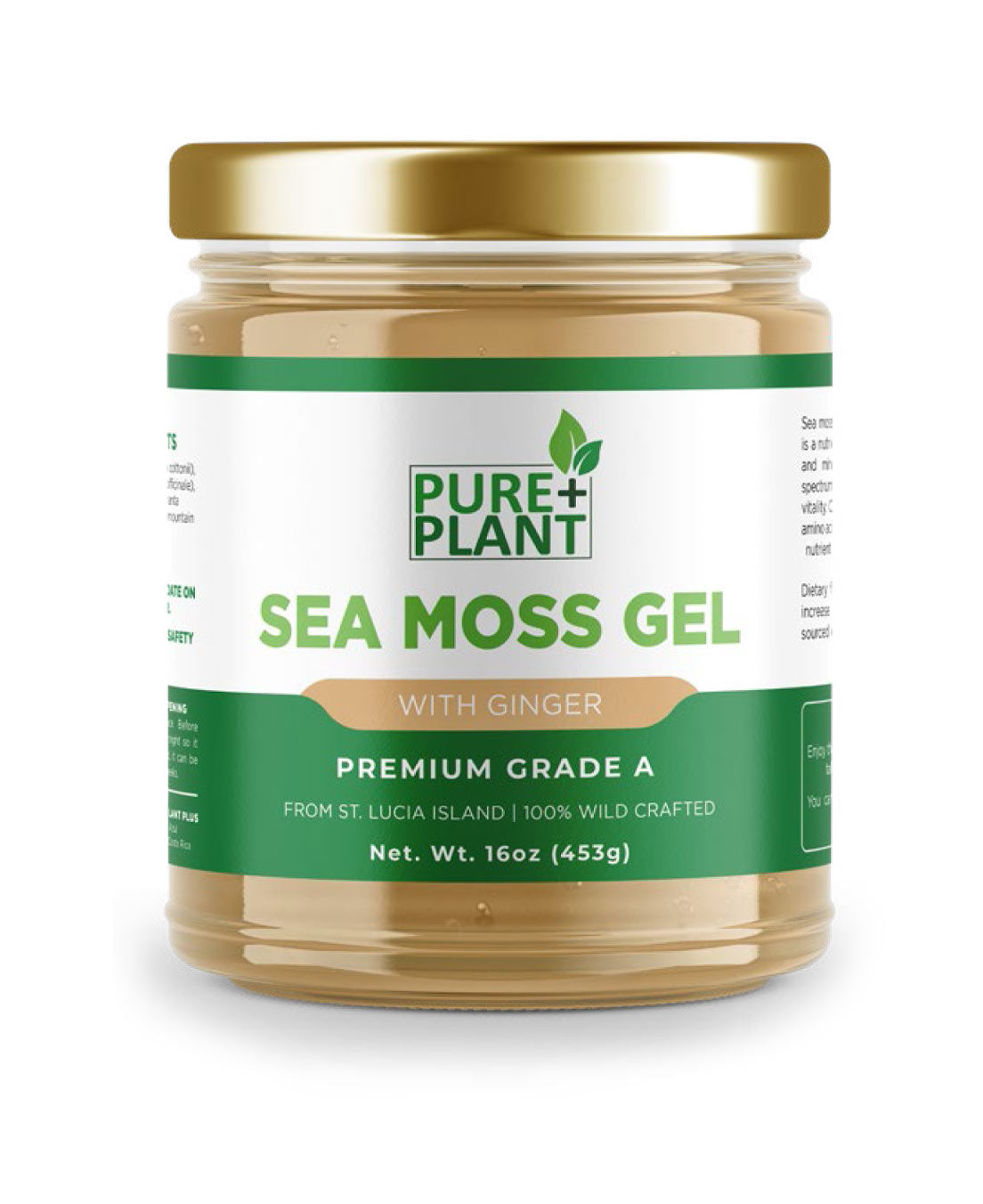 Sea Moss Gel with Ginger - Pure Plant Plus