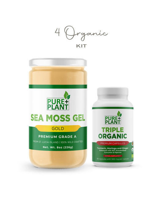 4 Organic Kit - Sea Moss Gel Pure Gold & Turmeric, Moringa, Ginger - Pure Plant Plus