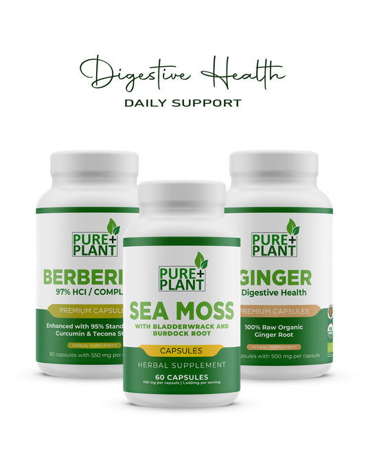Digestive Health-Berberine, Ginger, and Sea Moss - Pure Plant Plus