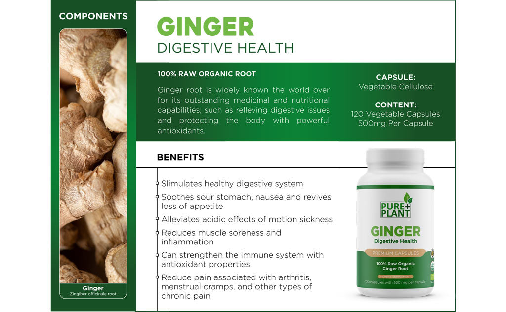 Ginger - Digestive Health - Pure Plant Plus