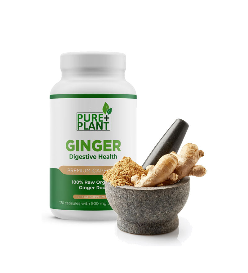 Ginger - Digestive Health - Pure Plant Plus