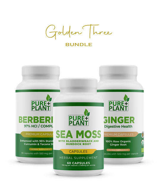 Golden Three bundle-Berberine + Ginger + Sea Moss -Pure Plant Plus