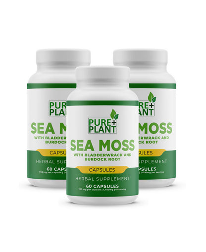 Sea Moss Premium Capsules - 100% premium organic Sea moss(Grade A) from St.Lucia Island - (BUNDLE) 3 BOTTLES