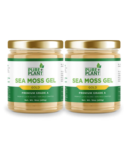 Sea Moss Gel Pure Gold - Pure Plant Plus