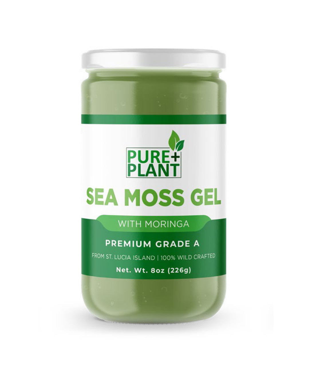 Sea Moss Gel with Moringa - Pure Plant Plus