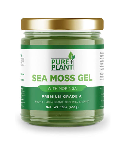 Sea Moss Gel with Moringa - Pure Plant Plus