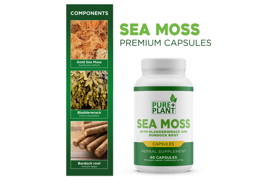 Sea Moss Capsule-Pure Plant Plus