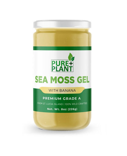 Sea Moss Gel with Banana - Pure Plant Plus