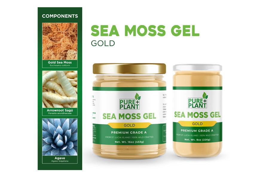 Sea Moss Gel Pure Gold - Pure Plant Plus