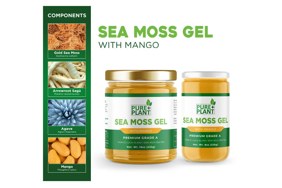 Sea Moss Gel with Mango - Pure Plant Plus