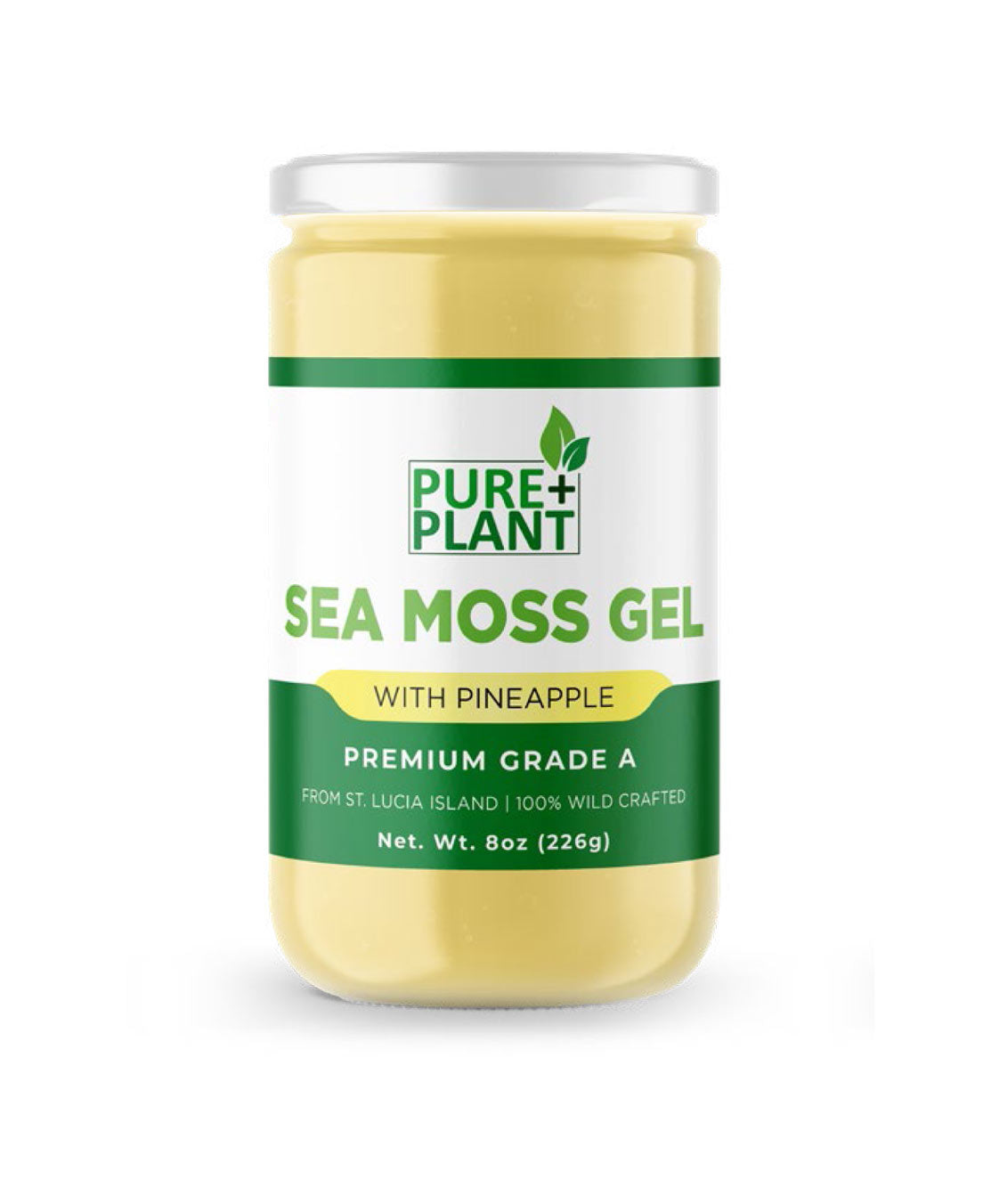 Sea Moss Gel with Pineapple - Pure Plant Plus