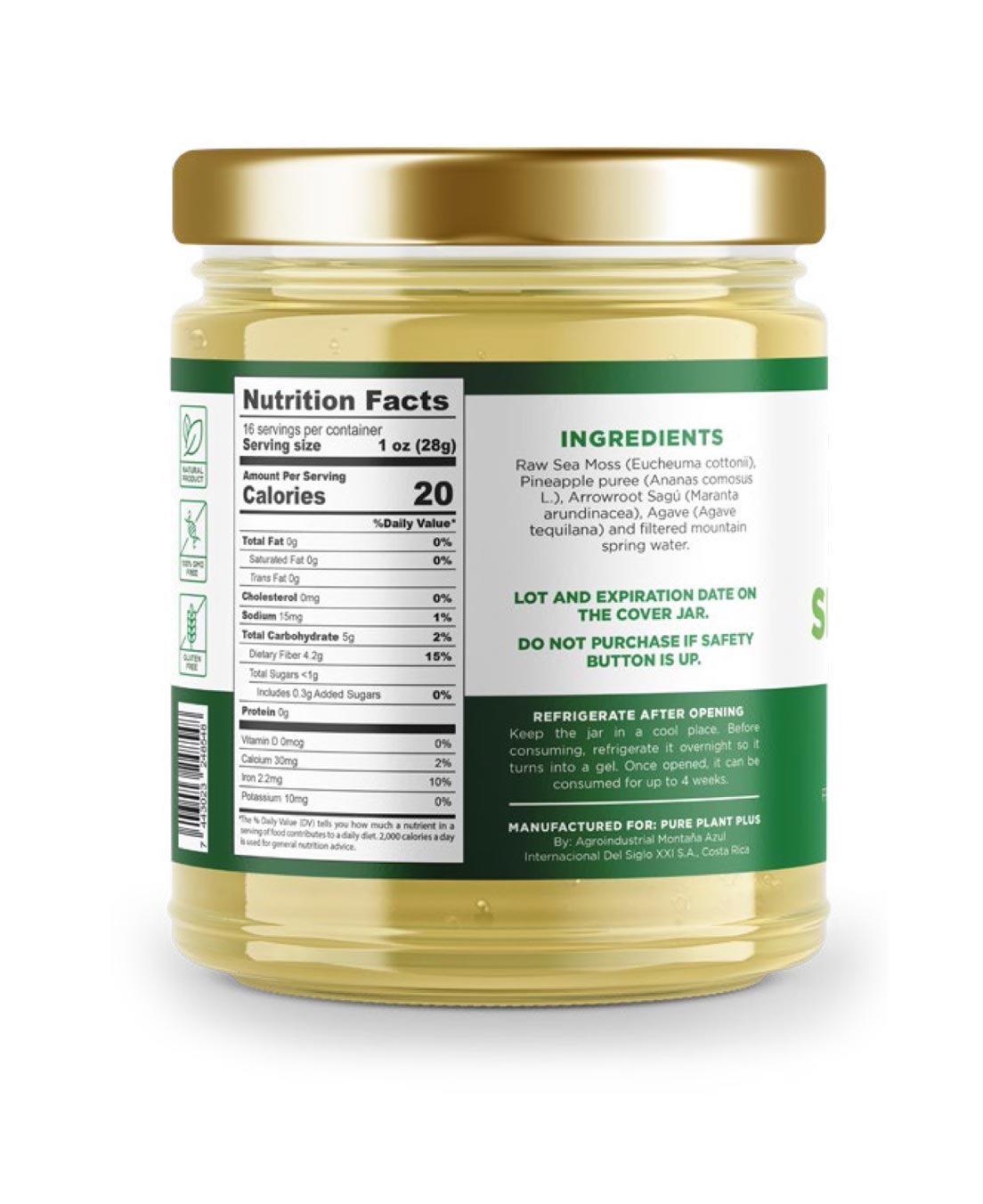 Sea Moss Gel with Pineapple - Pure Plant Plus