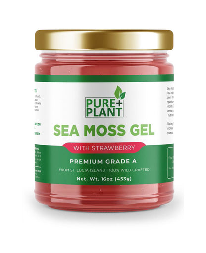 Sea Moss Gel with Strawberry - Pure Plant Plus