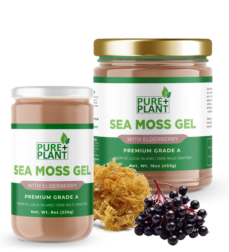 Sea moss gel with Elderberry - Pure Plant Plus
