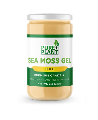 Sea Moss Gel Pure Gold - Pure Plant Plus