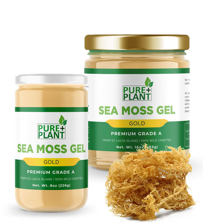 Sea Moss Gel Pure Gold - Pure Plant Plus