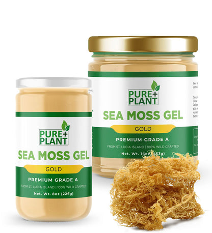 Sea Moss Gel Pure Gold - Pure Plant Plus