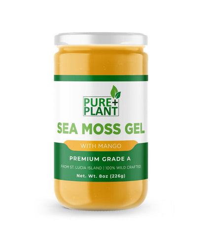 Sea Moss Gel with Mango - Pure Plant Plus