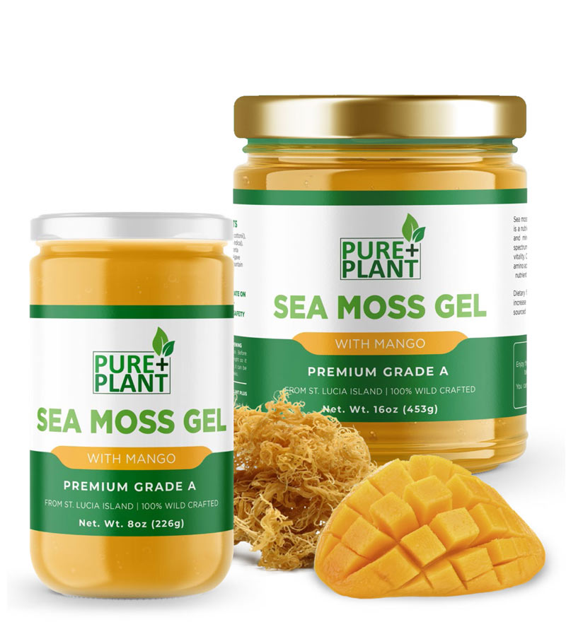 Sea Moss Gel with Mango - Pure Plant Plus