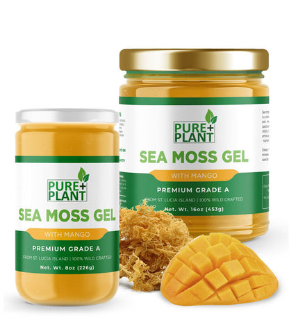 Sea Moss Gel with Mango - Pure Plant Plus