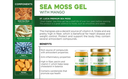 Sea Moss Gel with Mango - Pure Plant Plus