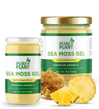 Sea Moss Gel with Pineapple - Pure Plant Plus