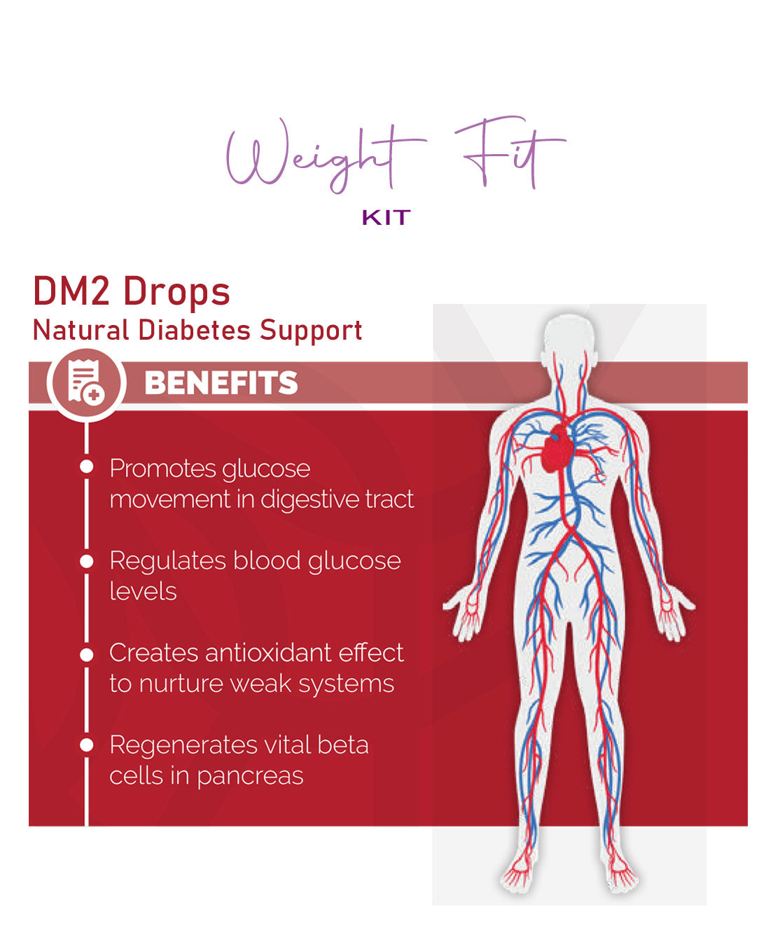 Weight Fit Kit-Berberine & DM2 & Papaya & Ginger-Pure Plant Plus