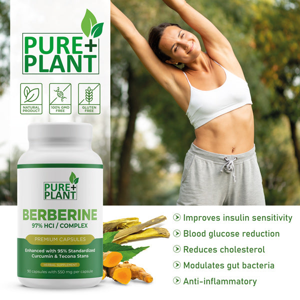 Weight Fit Kit-Berberine & DM2 & Papaya & Ginger-Pure Plant Plus